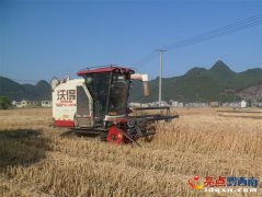 千方百计鞭策农业增效益、农、农人增收